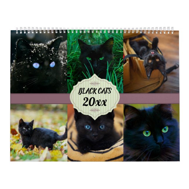Svarta katter kalender (Omslag)