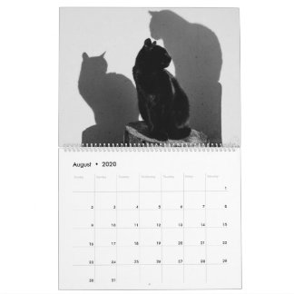 Svarta katter & Kittens Cute Kattunge 2020 Kalender