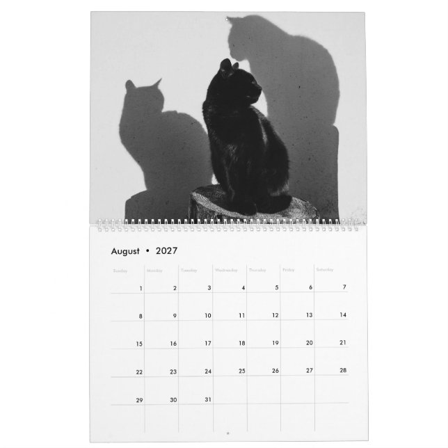 Svarta katter & Kittens Cute Kattunge 2020 Kalender (Aug 2027)
