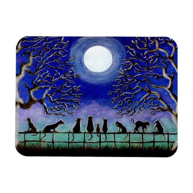 Svarta katter magnet "Nine Svan" (Horisontell)