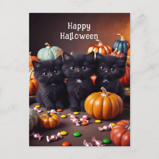 Svarta katter och Pumpkins Halloween Nattscen Vykort