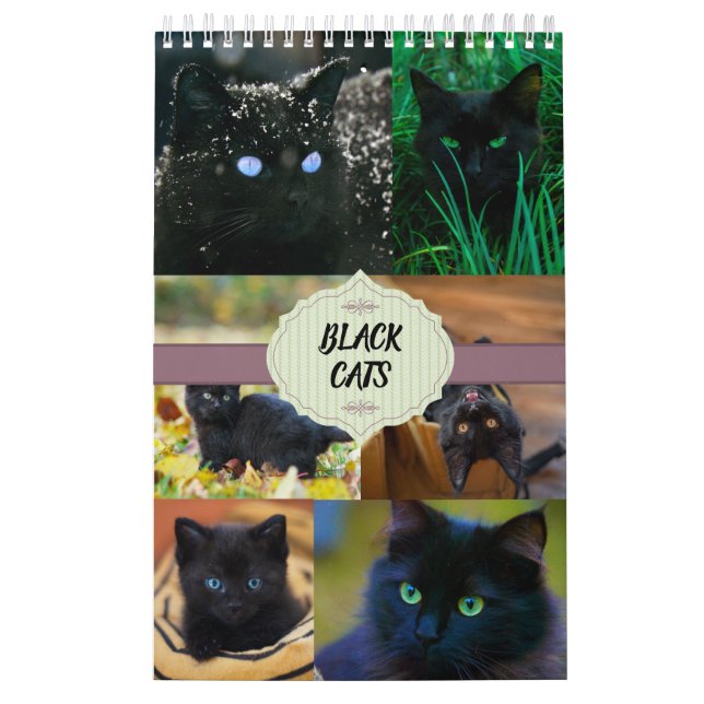 Svarta katter One Page Kalender (Omslag)