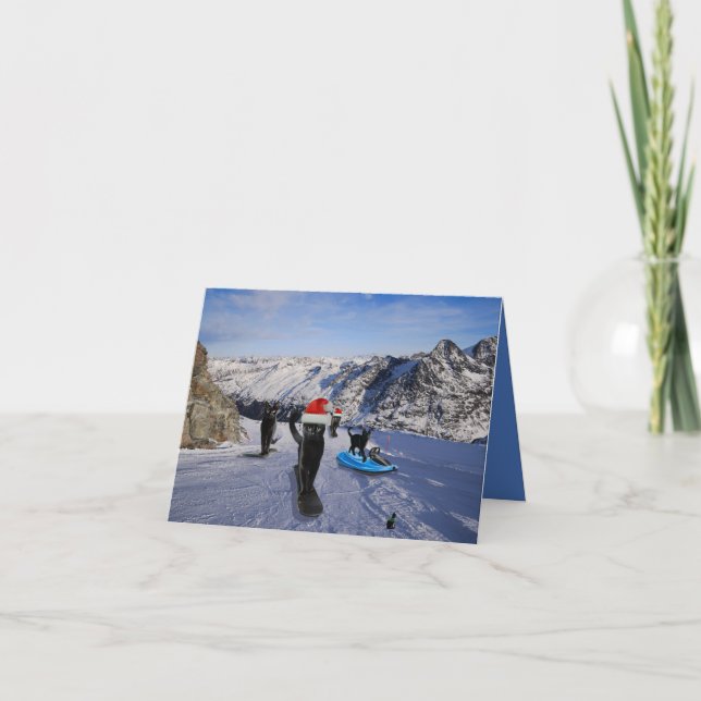 Svarta katter på diskkort med mappad hälsning kort (Framsida)