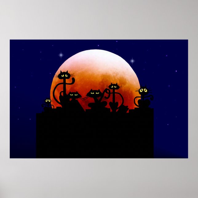 Svarta katter på ett stängsel Poster (Framsidan)