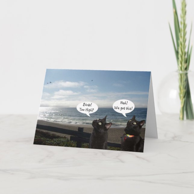 Svarta katter vill ha ett födelseattskort för fågl kort (Framsida)