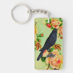 Svarta Kråkan och Ro