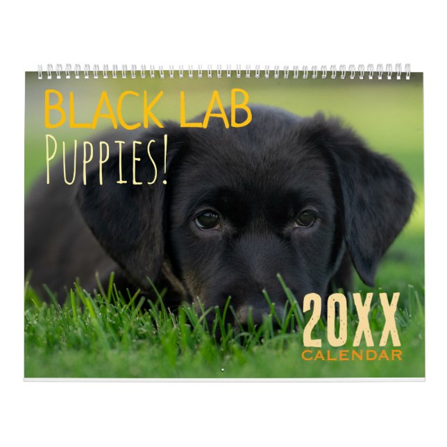 Svarta Lab Puppies Valp Hund Labrador Kalender (Omslag)