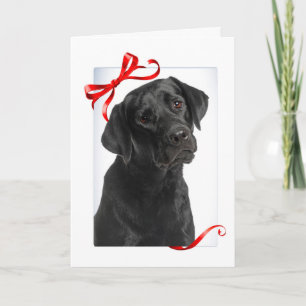 Svarta Labradors Jul Varma och Ludna Önskningar Helgkort