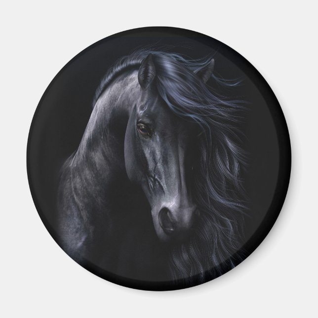 Svarta magnet (Framsidan)