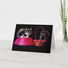 Svarta och Grått-katter på Rosa Påsk Basket Helgkort