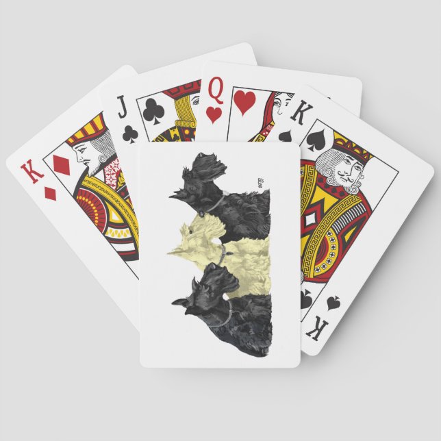 Svarta och vete färgade Scotties Casinokort (Baksidan)