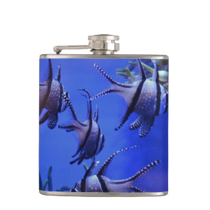 Svarta och vita Angelfish i Deep Blue Sea Fickplunta