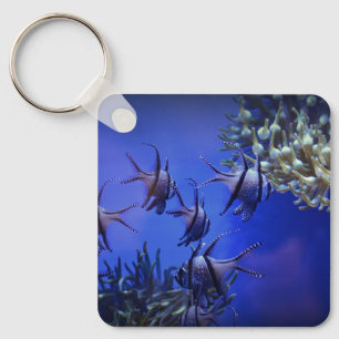 Svarta och vita Angelfish i Deep Blue Sea Nyckelring