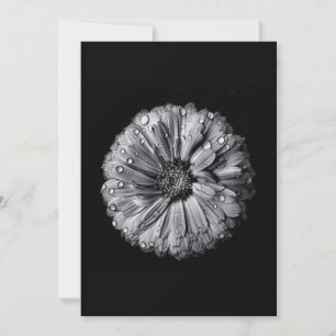Svarta och vita blommor 10