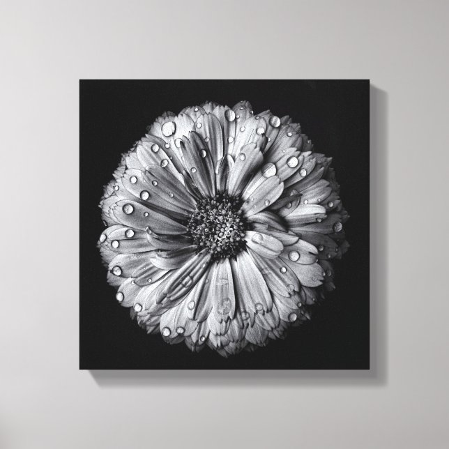 Svarta och vita blommor 10 canvastryck (Framsida)