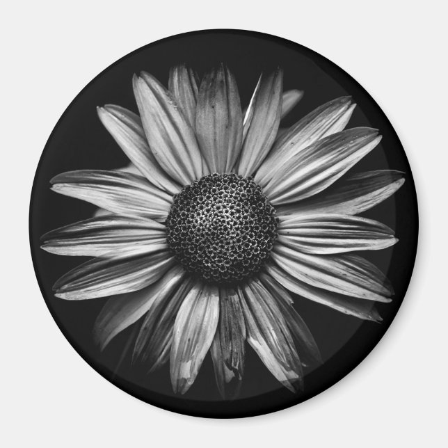 Svarta och vita blommor 18 magnet (Framsidan)