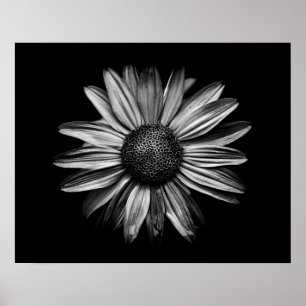Svarta och vita blommor 18 poster