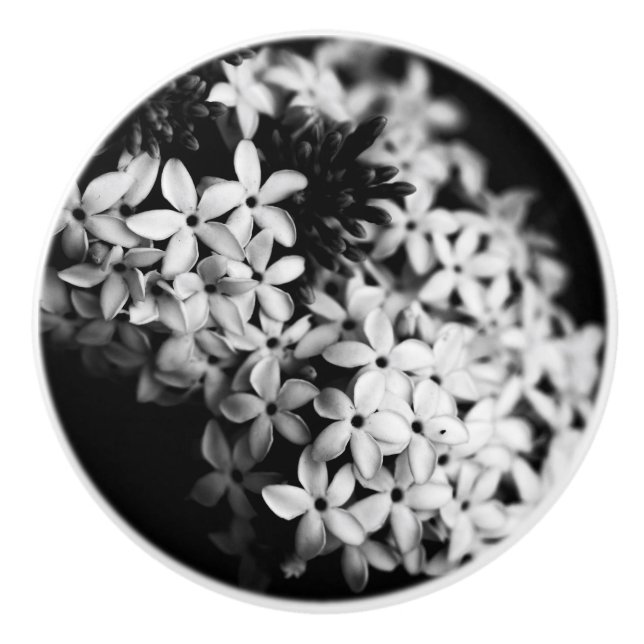 Svarta och Vita Blommor Knopp (Framsidan)