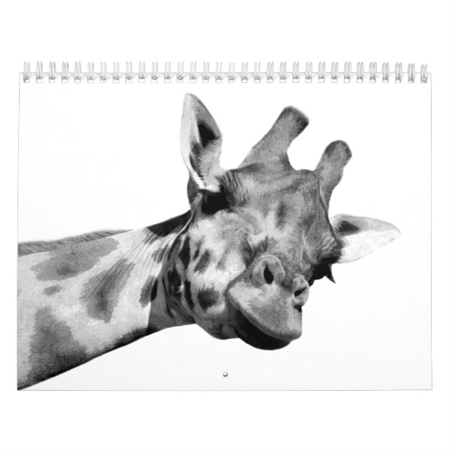 Svarta och vita djur kalender (Omslag)