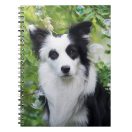 Svarta och vita Gräns Collie Anteckningsbok