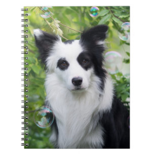 Svarta och vita Gräns Collie Anteckningsbok