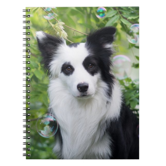 Svarta och vita Gräns Collie Anteckningsbok (Framsidan)