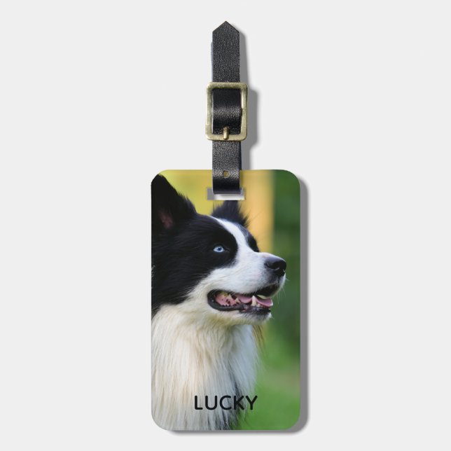 Svarta och vita Gräns Collie Hund Bagagebricka (Vertikal Framsida)