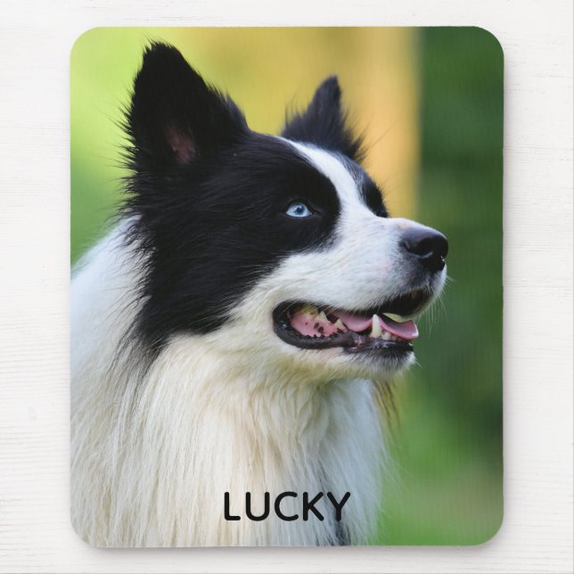 Svarta och vita Gräns Collie Hund Musmatta (Framsidan)