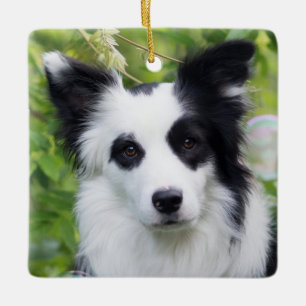 Svarta och vita Gräns Collie Julgransprydnad Keramik