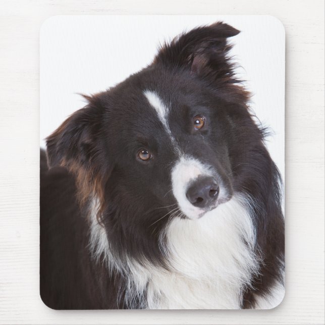 Svarta och vita Gräns Collie Puppy Hund Mousepad Musmatta (Framsidan)