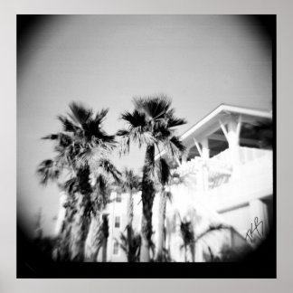 Svarta och vita Handflatan Poster