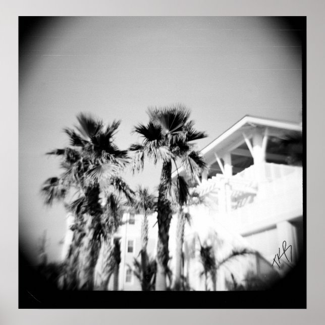 Svarta och vita Handflatan Poster (Framsidan)