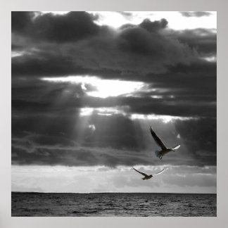 Svarta och vita havet poster