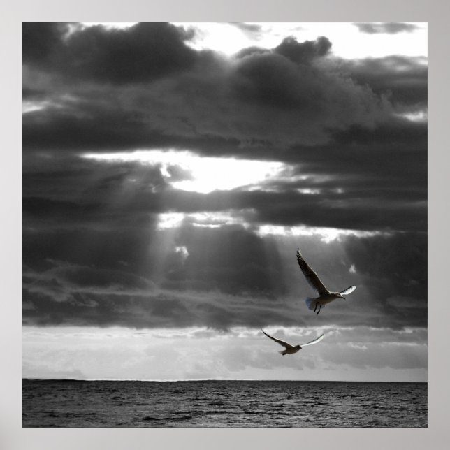 Svarta och vita havet poster (Framsidan)