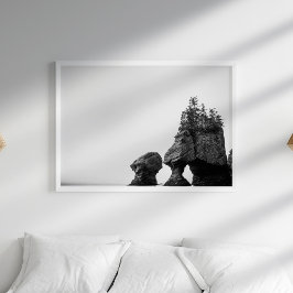 Svarta och vita havshaj Poster