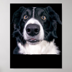 Svarta och vita Hund Ansikte Poster