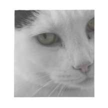 Svarta och vita katter ansikte