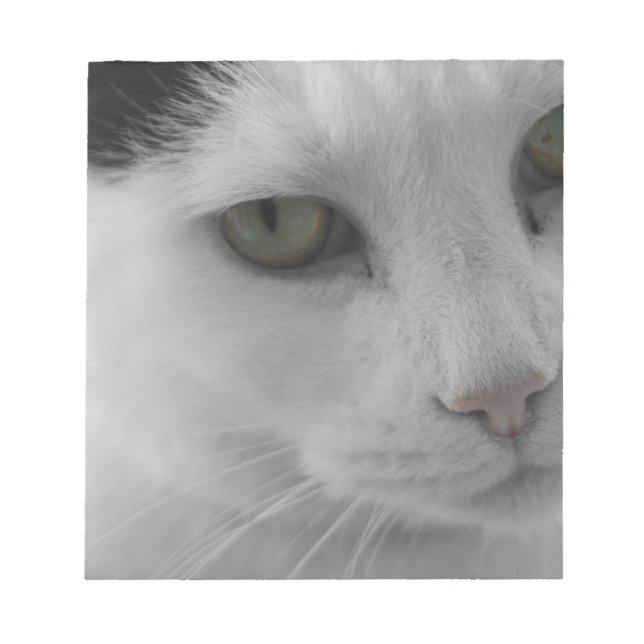 Svarta och vita katter ansikte anteckningsblock (Framsida)