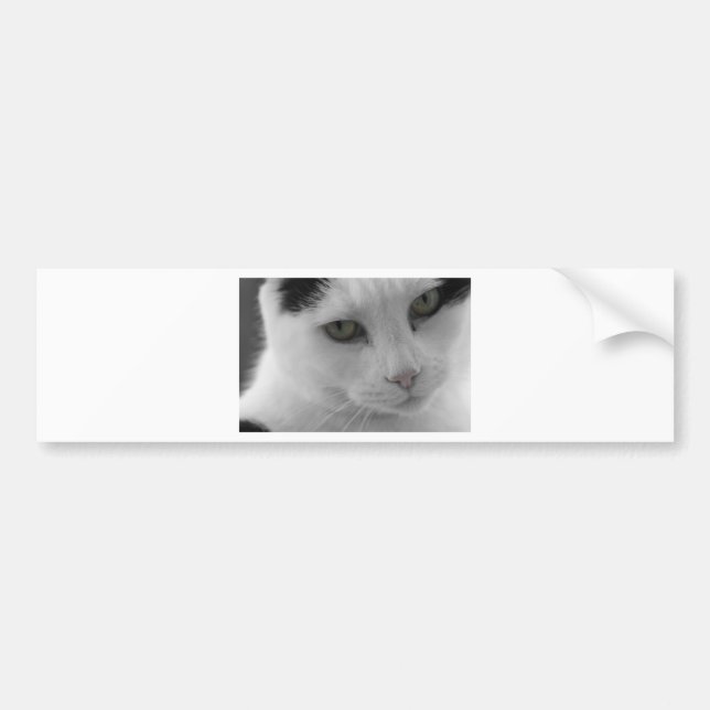 Svarta och vita katter ansikte bildekal (Framsidan)