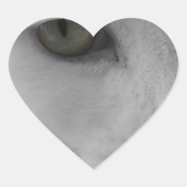 Svarta och vita katter ansikte hjärtformat klistermärke