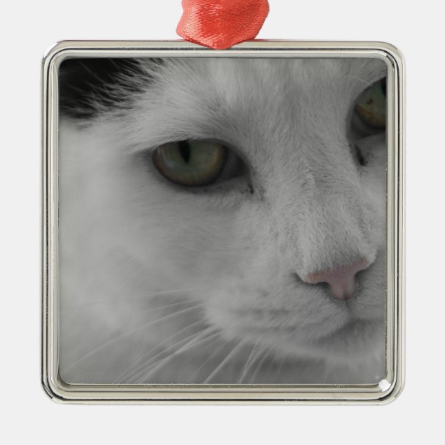 Svarta och vita katter ansikte julgransprydnad metall (Framsidan)