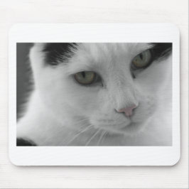 Svarta och vita katter ansikte musmatta
