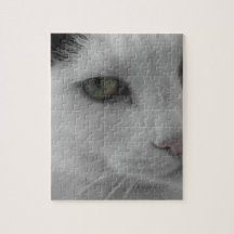 Svarta och vita katter ansikte