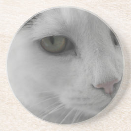 Svarta och vita katter ansikte underlägg sandsten