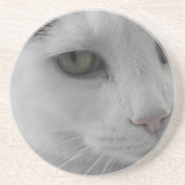 Svarta och vita katter ansikte underlägg sandsten (Framsidan)