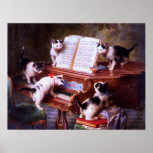 Svarta och vita katter Kitten Poster
