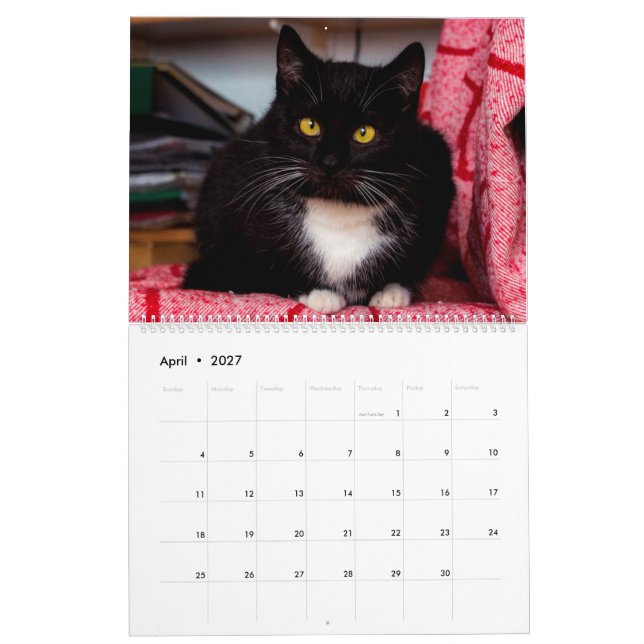 Svarta och vita katter och kittens Kattunge 2020 Kalender (Apr 2027)