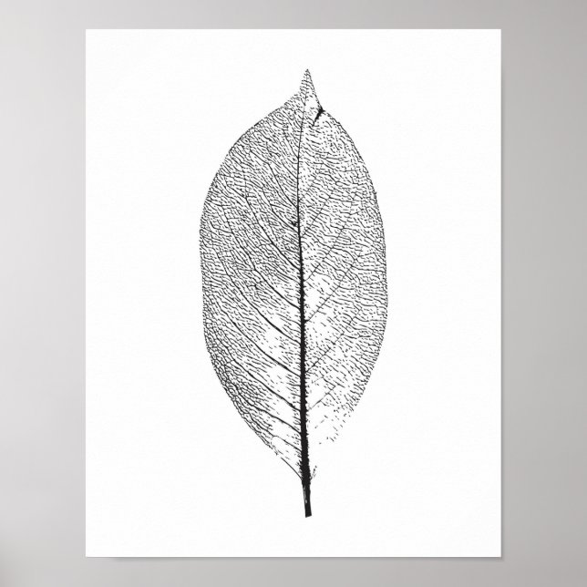 Svarta och vita löv poster (Framsidan)