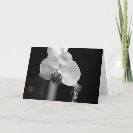 Svarta och vita orkidfoto "Grattis på födelsedagen Kort