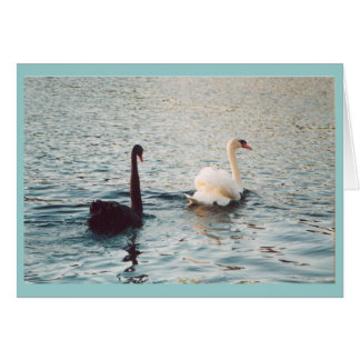 Svarta och vita på Rideau Hälsningskort